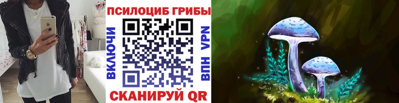 закладки Лесной Галлюциногенные грибы MAGIC MUSHROOMS